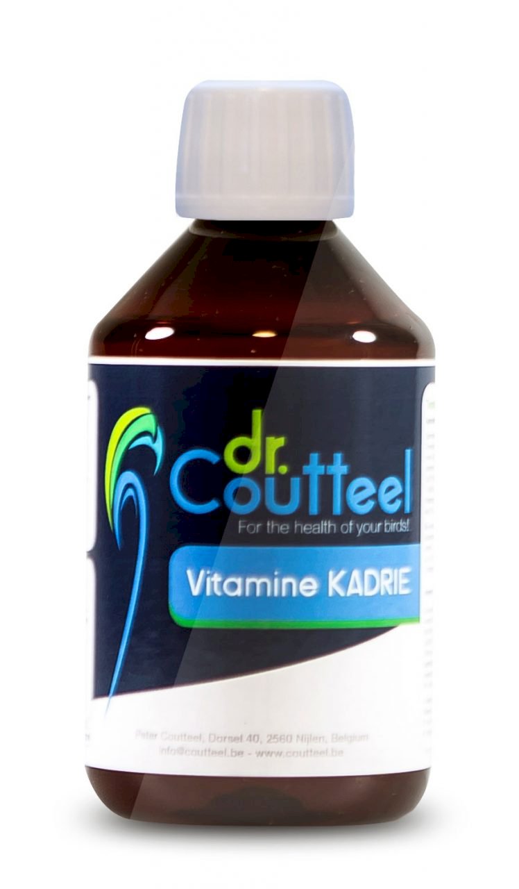 VITAMIN-KADRIE 250 ML