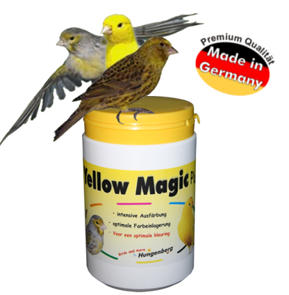 YELLOW MAGIC 100 G. 