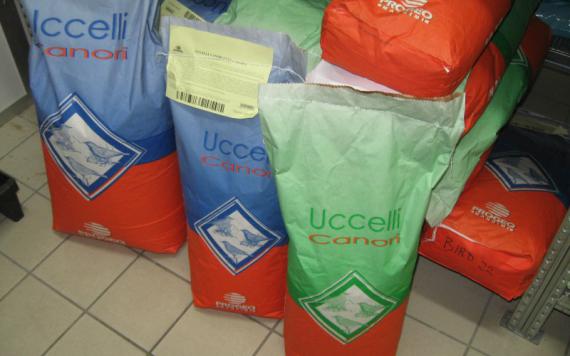 LINEA PROGEO UCCELLI CANORI 