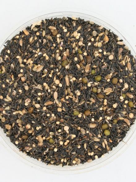 CANARINI GERMOGLIO KG 15