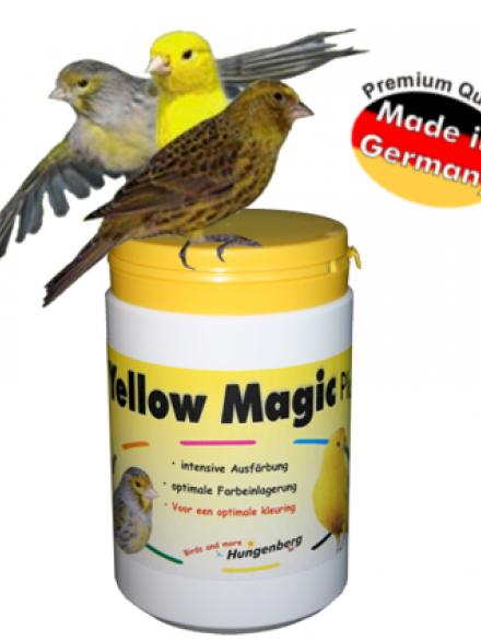 YELLOW MAGIC 100 G. 